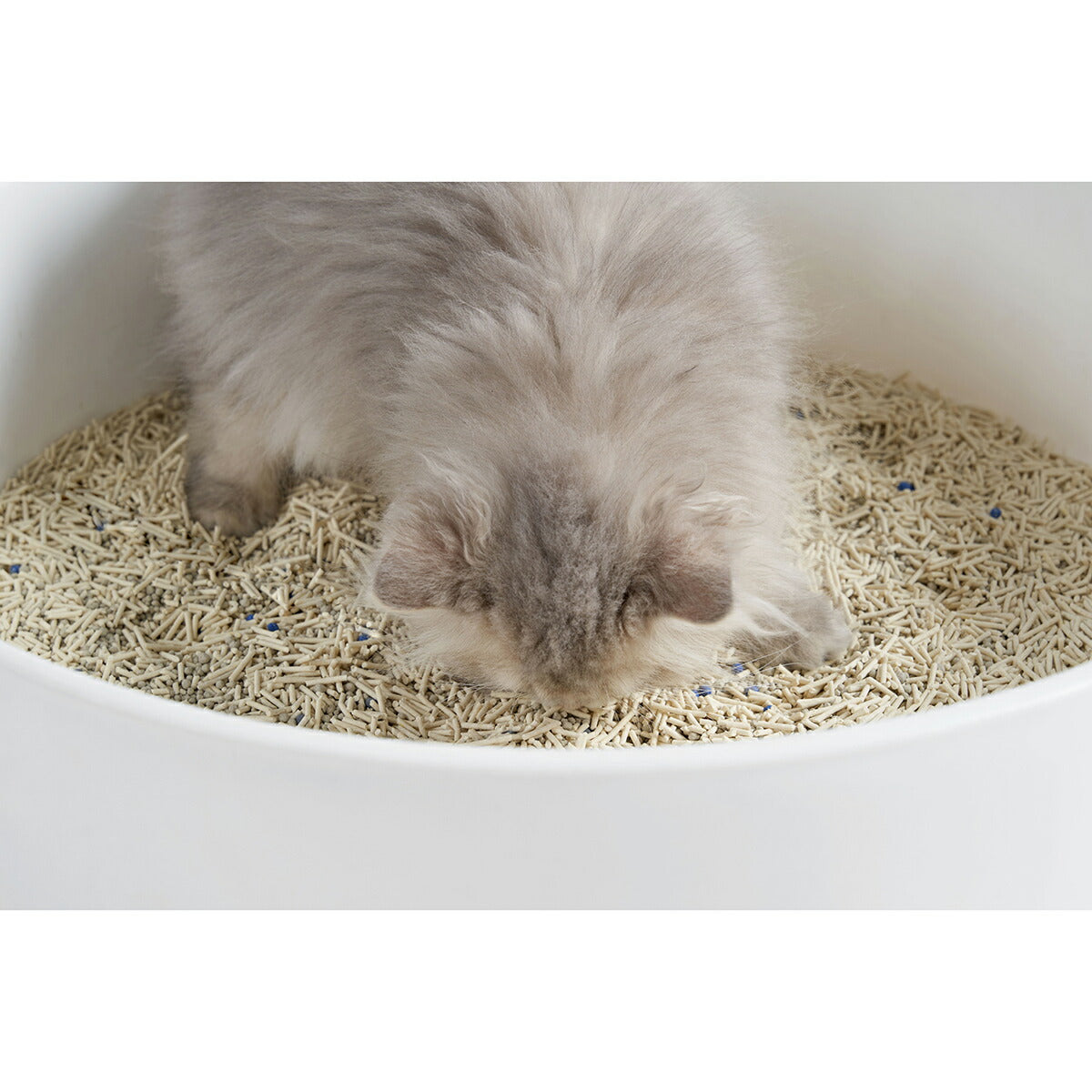 pidan おからベントナイトミックス 猫砂 2.4kg 固まる 混ぜる 脱臭 抗菌 瞬間吸収で消臭 トイレに流れる 天然素材