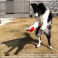 ファンタジーワールド ポケモン ペット用おもちゃ ハイパーボール ポケットモンスター ノーパンクボール 小型犬 猫 水に浮く