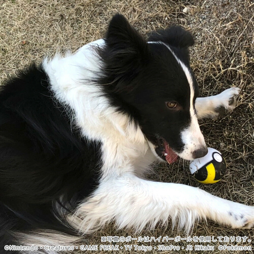 ファンタジーワールド ポケモン ペット用おもちゃ ハイパーボール ポケットモンスター ノーパンクボール 小型犬 猫 水に浮く