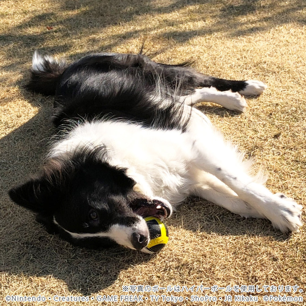 ファンタジーワールド ポケモン ペット用おもちゃ ハイパーボール ポケットモンスター ノーパンクボール 小型犬 猫 水に浮く