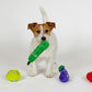 ファッド FAD＋ ファーム・プラッシュトイ キャベツ 犬 おもちゃ ぬいぐるみ 音が鳴る