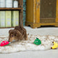 ファッドプラス FAD＋ ファーム プラッシュトイ バナナ犬用おもちゃ ドッグトーイ ぬいぐるみ スクイーズ