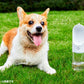 ペットキット PETKIT ワンタッチ・ウォーターボトル ピンク 300ml 犬 水筒 給水器 携帯 抗菌 お散歩 車内 アウトドア おでかけ 持ち運び 水分補給 ロック機能付き