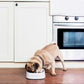 ペットキット PETKIT スケール・フィーディングボウル S ホワイト 450ml 犬 猫 フードボウル 食器 餌皿 計量 体重管理 健康管理 水洗いOK