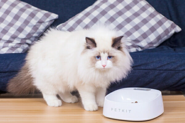 ペットキット PETKIT スケール・フィーディングボウル S ホワイト 450ml 犬 猫 フードボウル 食器 餌皿 計量 体重管理 健康管理 水洗いOK