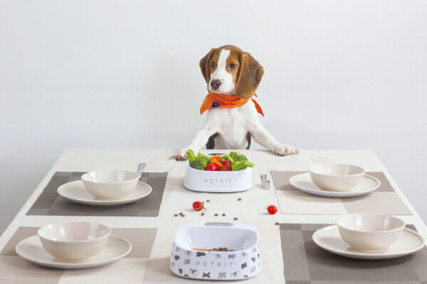 ペットキット PETKIT スケール・フィーディングボウル S ホワイト 450ml 犬 猫 フードボウル 食器 餌皿 計量 体重管理 健康管理 水洗いOK