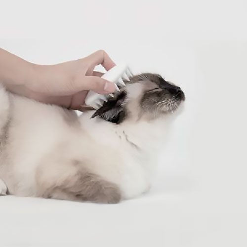 ペットキット PETKIT マッサージ・コーム 猫 ブラシ シャンプーブラシ シリコン 抜け毛 グルーミング