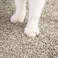 ペットキット PETKIT キャットリター トウフ 6L 猫 猫砂 おから トイレ 活性炭 固まる 流せる