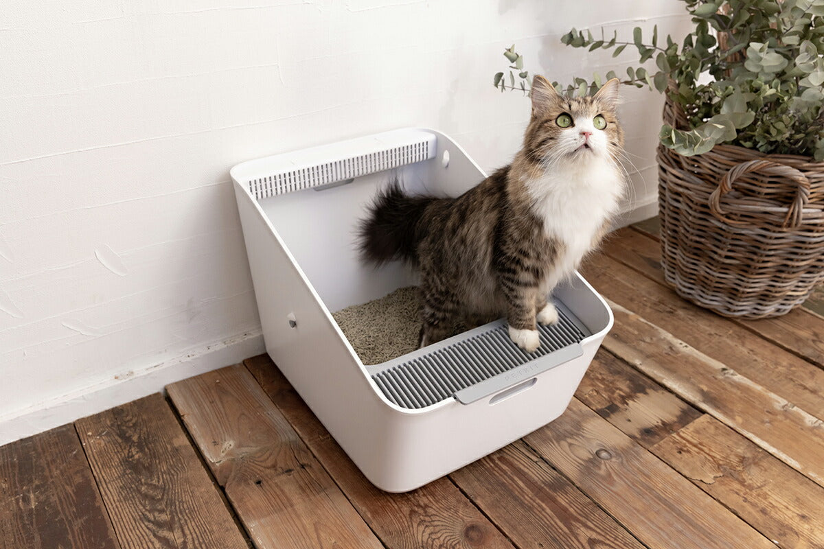 ペットキット PETKIT キャットリター トウフ 6L 猫 猫砂 おから トイレ 活性炭 固まる 流せる
