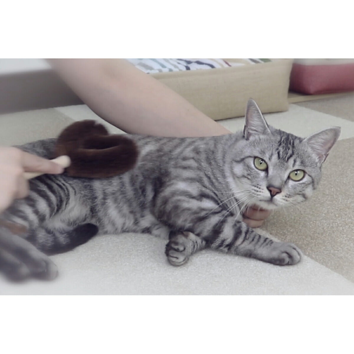ねこがくれ 猫が喜ぶマッサージ＆毛取りブラシ ハート