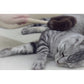ねこがくれ 猫が喜ぶマッサージ＆毛取りブラシ ハート
