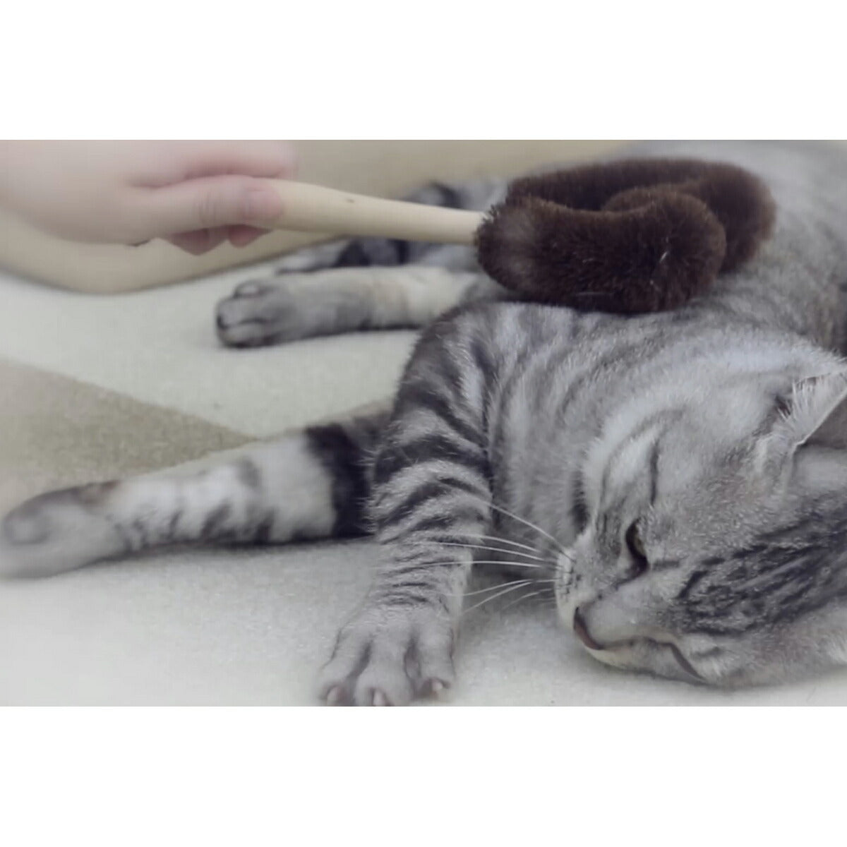ねこがくれ 猫が喜ぶマッサージ＆毛取りブラシ ハート