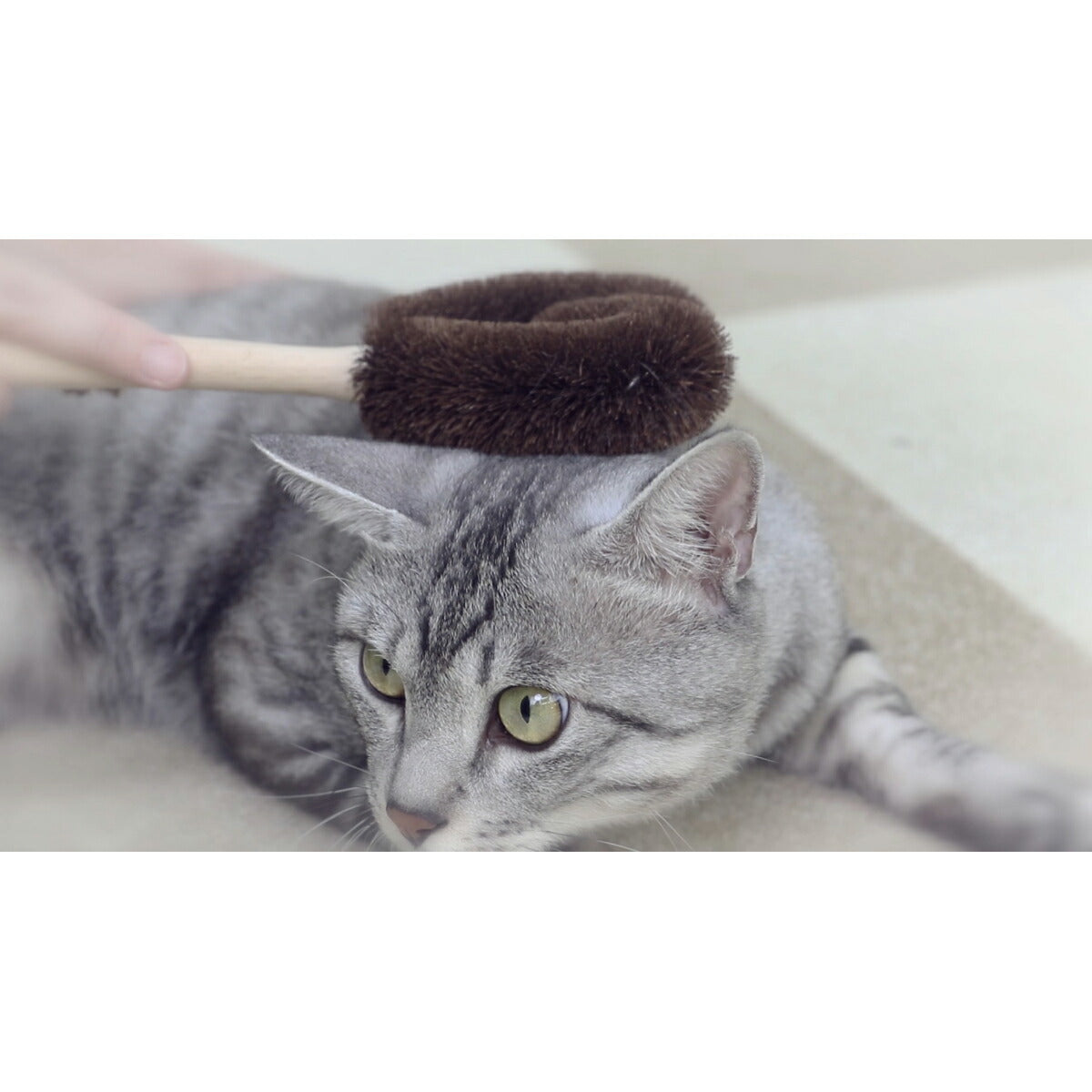 ねこがくれ 猫が喜ぶマッサージ＆毛取りブラシ ハート
