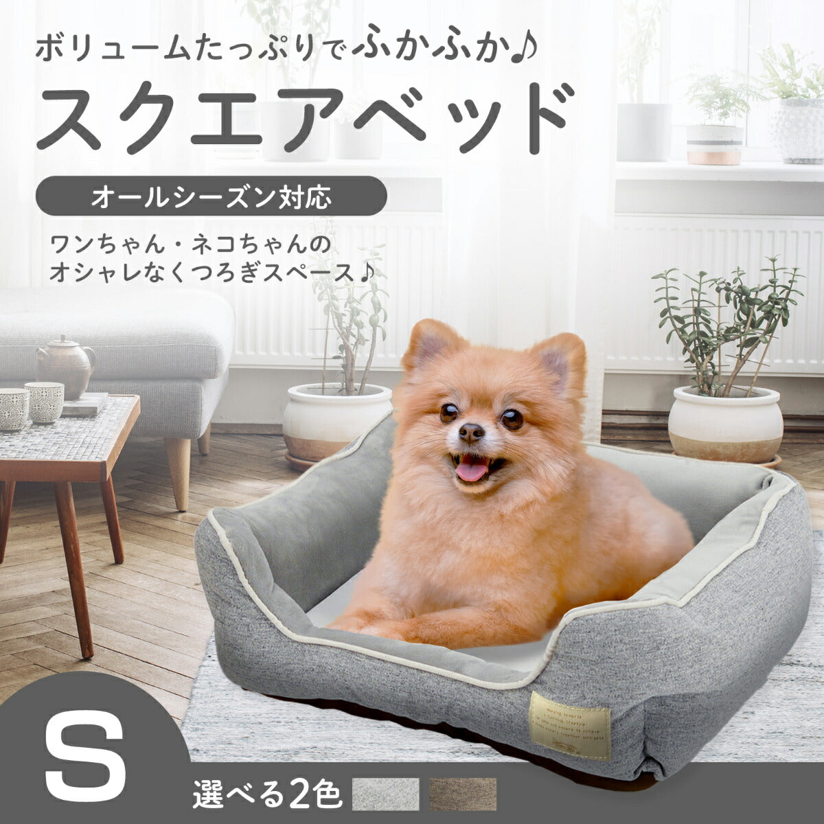 ホーミー Homey オールシーズンスクエアベッド S ブラウン