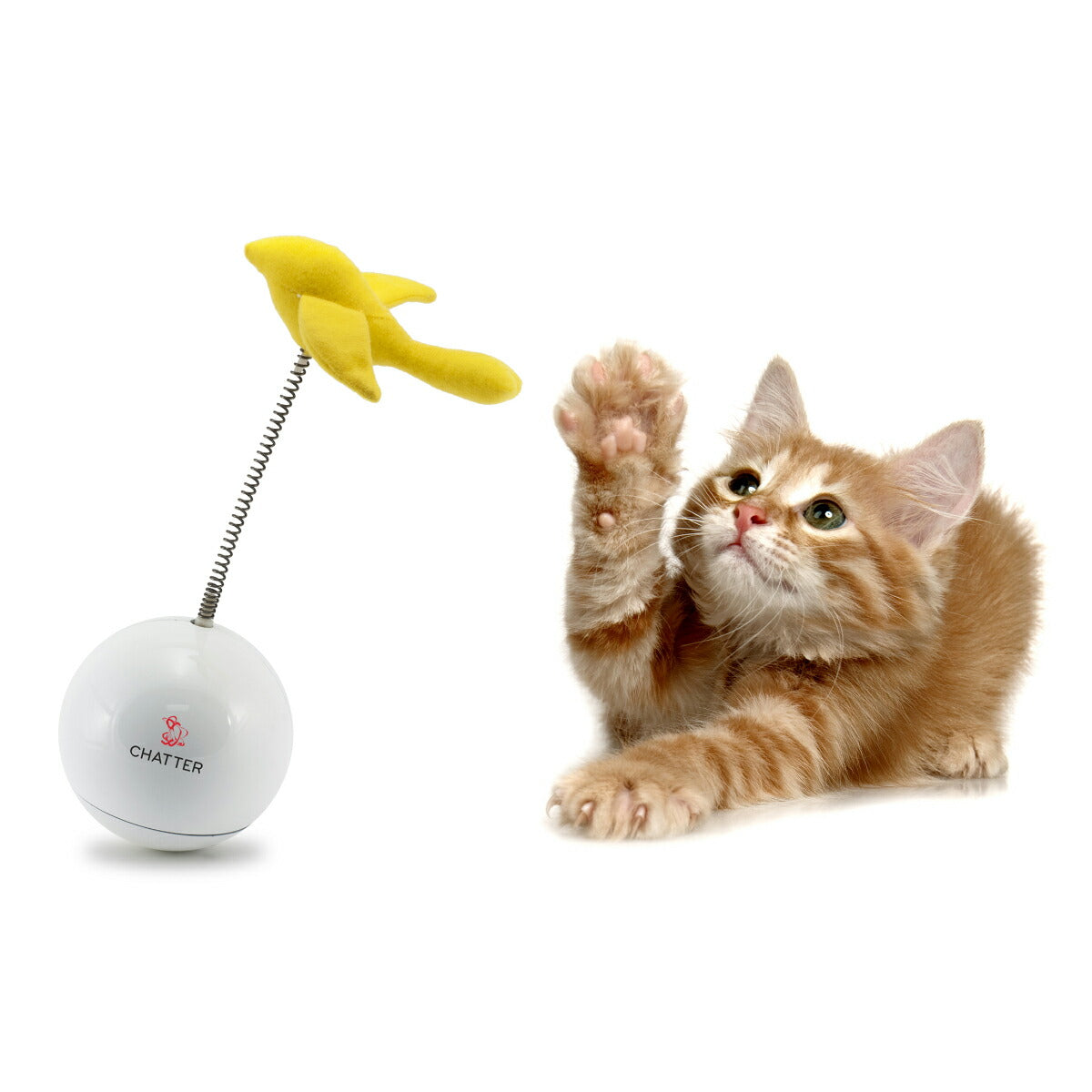 ペットセーフ フローリーキャット チャッター