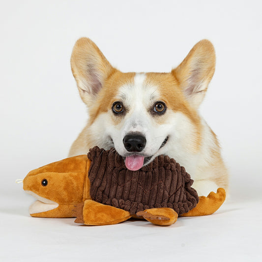 トール・テイルズ TALL TAILS クランチ・トイ タートル 犬 おもちゃ ぬいぐるみ カメ 音が鳴る サスティナブル