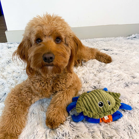 トール・テイルズ TALL TAILS フラップ・トイ クラブ 犬 おもちゃ ぬいぐるみ 動く カニ 電池不使用 サスティナブル