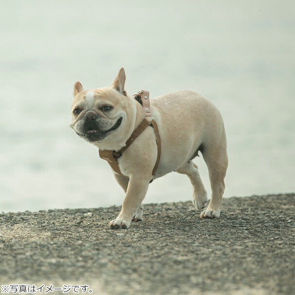 クチタプ犬用ハーネスu0026リード QUCHITAP - 犬用品
