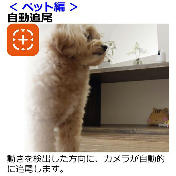 リッチェル Richell 見守りカメラ LOOK 犬 猫 ペットカメラ 映像共有 音声 通話 首振り 追尾 ナイトビジョン 録音 録画 コンパクト