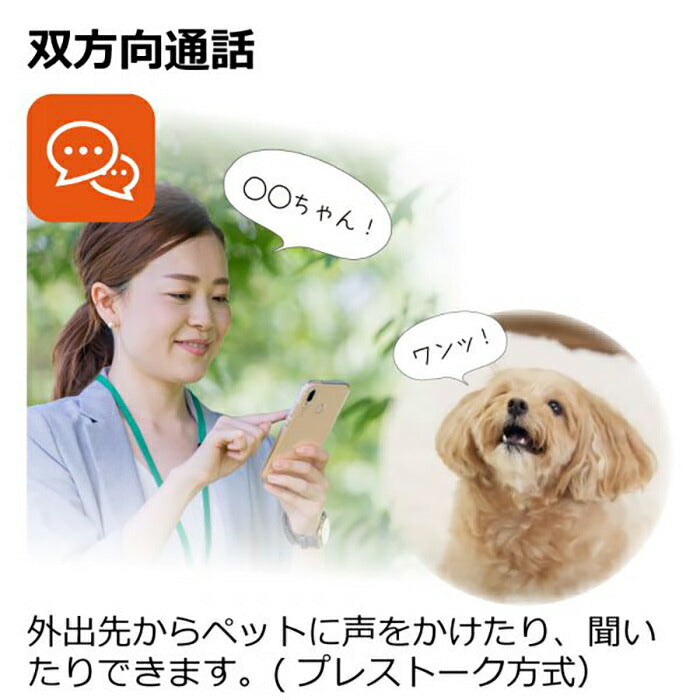 リッチェル Richell 見守りカメラ LOOK 犬 猫 ペットカメラ 映像共有 音声 通話 首振り 追尾 ナイトビジョン 録音 録画 コンパクト