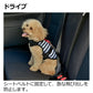リッチェル Richell おでかけベストハーネス M ストライプ 犬 胴輪 ハーネス ベスト 一体型 小型犬 手洗い可 お散歩 ドライブ