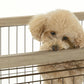 リッチェル Richell アルミフレームペットサークル 90-60 ベージュ 犬 サークル ケージ 屋内 長方形 超小型犬 小型犬 スライド式 ワンタッチロック解除 木目柄