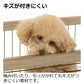 リッチェル Richell アルミフレームペットサークル 90-60 ベージュ 犬 サークル ケージ 屋内 長方形 超小型犬 小型犬 スライド式 ワンタッチロック解除 木目柄