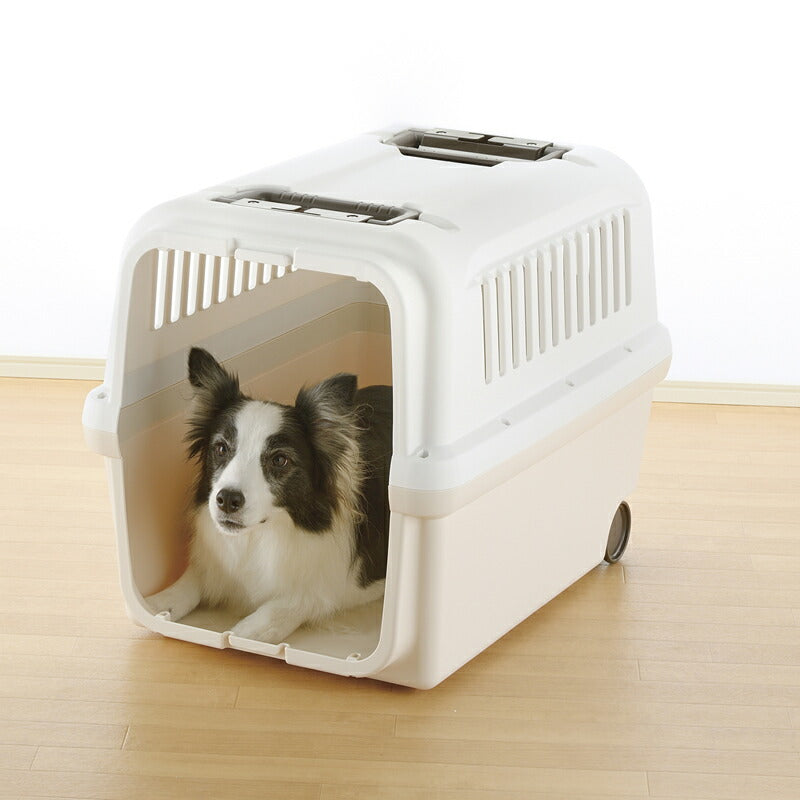 リッチェル Richell キャンピングキャリー L アイボリー 犬 ペットキャリー クレート ハウス 中型犬 ハード 水洗い可 キャスター付き おでかけ 車 災害