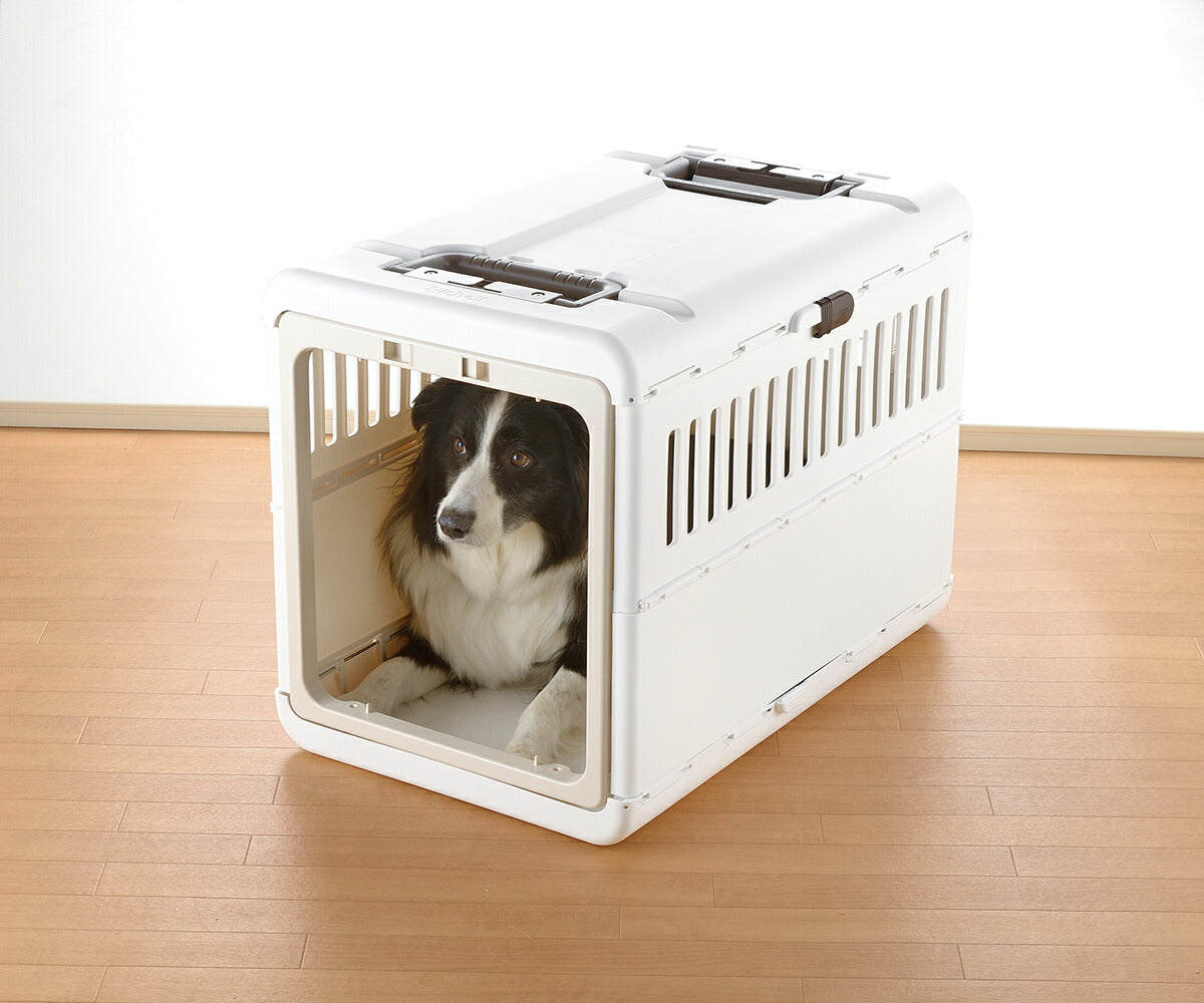 リッチェル Richell キャンピングキャリー 折りたたみ L アイボリー 犬 ペットキャリー クレート ハウス 中型犬 ハード スリム 水洗い可 おでかけ 車 災害