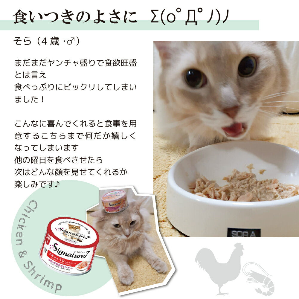 シグネチャー7 さば＆にんじん 70g 無添加 ネコ 猫 総合栄養食 グレインフリー グレイビー