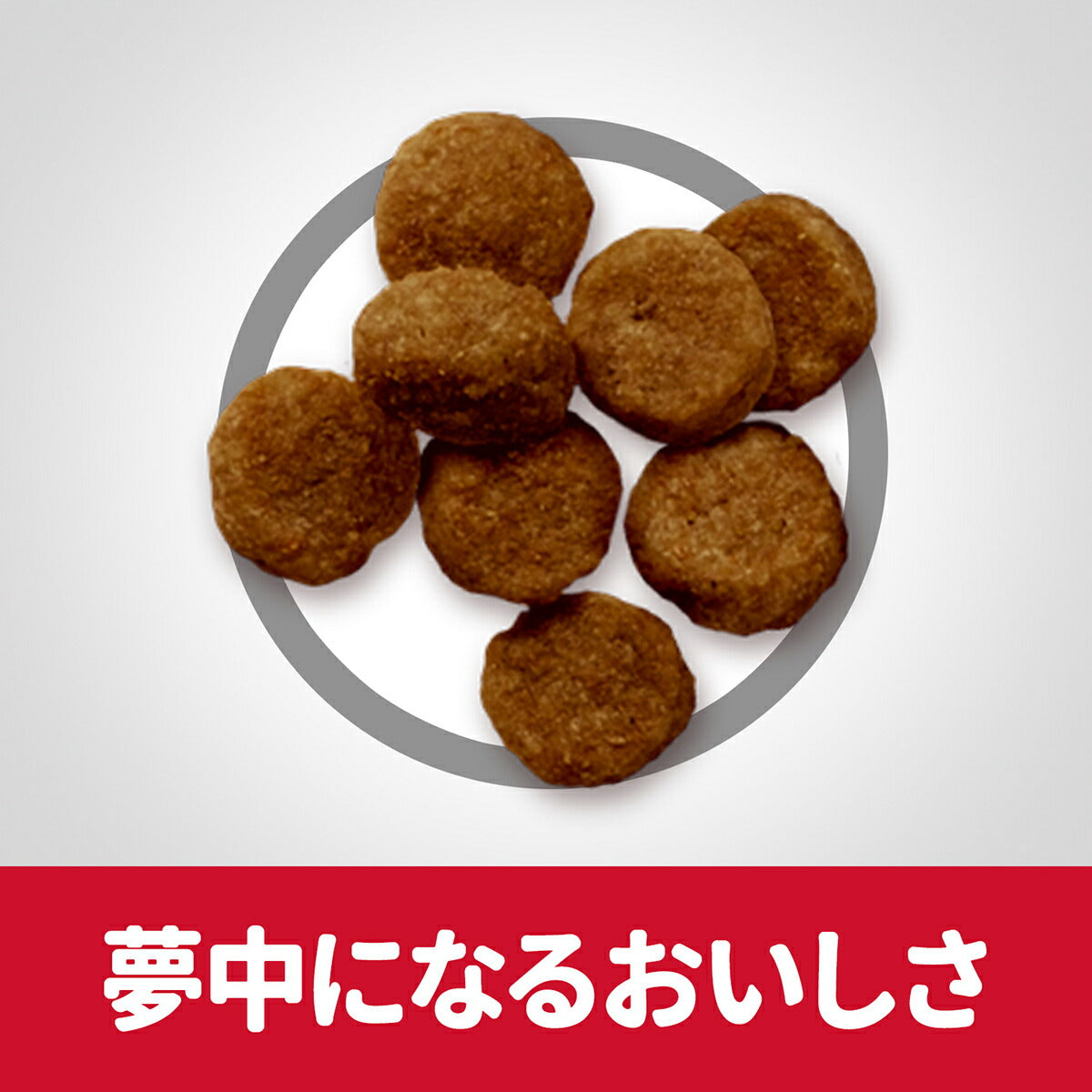 サイエンス・ダイエット シニアプラス 小型犬用 高齢犬用 10歳以上 チキン 3kg ヒルズ ドッグフード ドライフード 総合栄養食 着色料・香料不使用