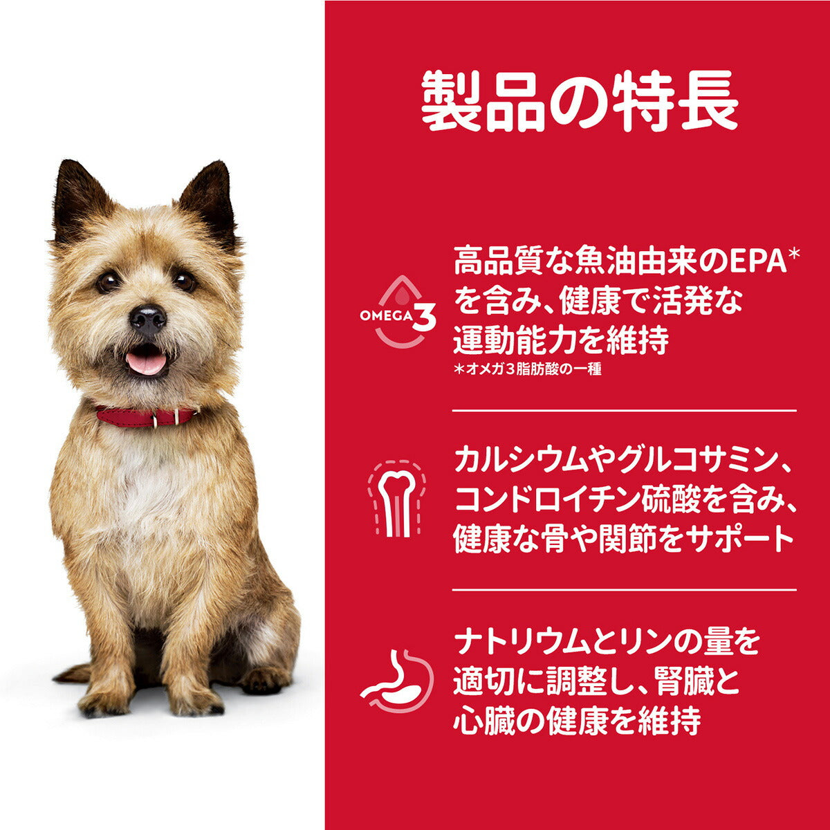 サイエンス・ダイエット シニア アドバンスド 小型犬用 高齢犬用 13歳以上 チキン 3kg ヒルズ ドッグフード ドライフード 総合栄養食 着色料・香料不使用