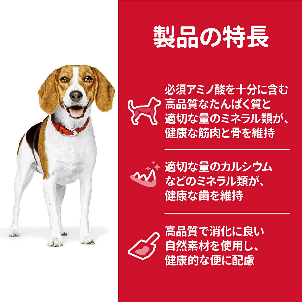 サイエンス・ダイエット アダルト ラム＆ライス 小粒 成犬用 1～6歳 チキン 6.5kg ヒルズ ドッグフード ドライフード 総合栄養食 着色料・香料不使用