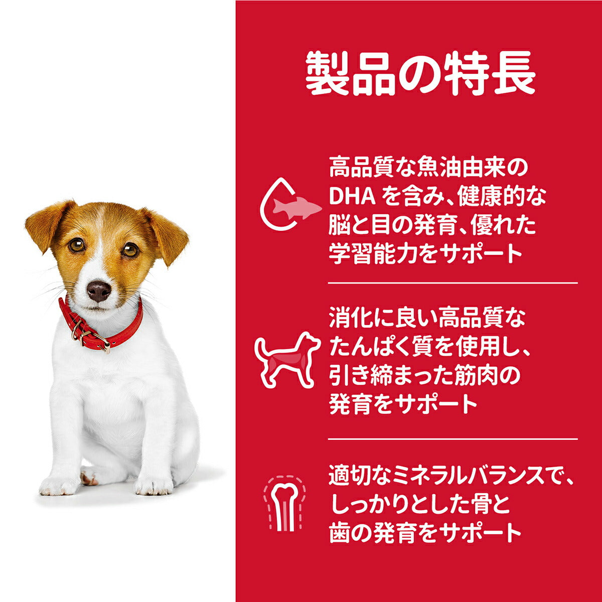 サイエンス・ダイエット パピー 小粒 子犬用 12ヶ月まで チキン 1.4kg ヒルズ ドッグフード ドライフード 総合栄養食 着色料・香料不使用