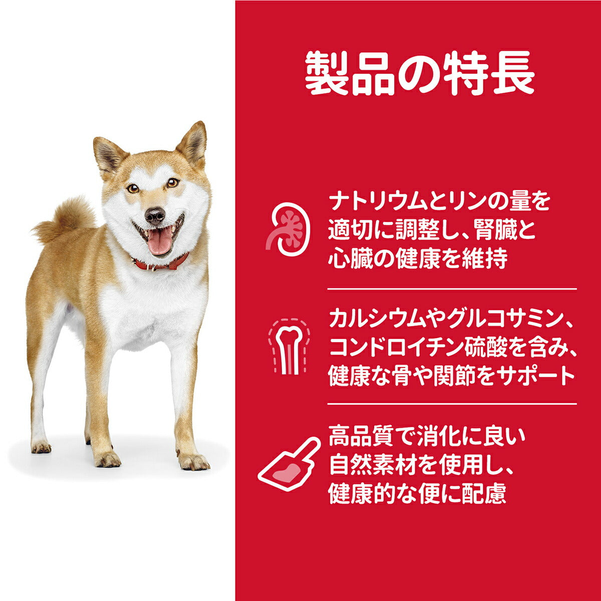サイエンス・ダイエット シニア 小粒 高齢犬用 7歳以上 チキン 1.4kg ヒルズ ドッグフード ドライフード 総合栄養食 着色料・香料不使用