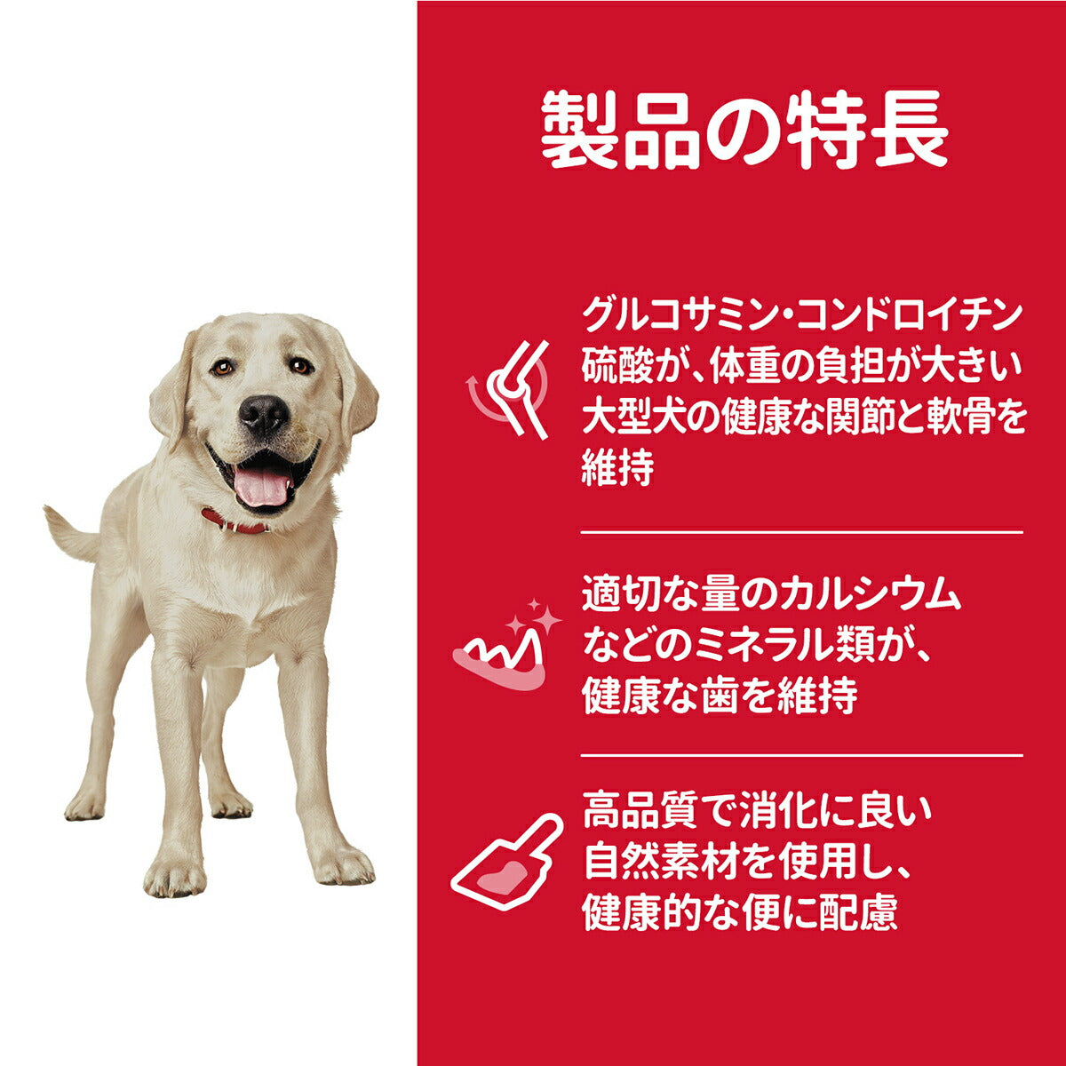 サイエンス・ダイエット アダルト 大型犬用 成犬用 1～5歳 チキン 12kg ヒルズ ドッグフード ドライフード 総合栄養食 着色料・香料不使用