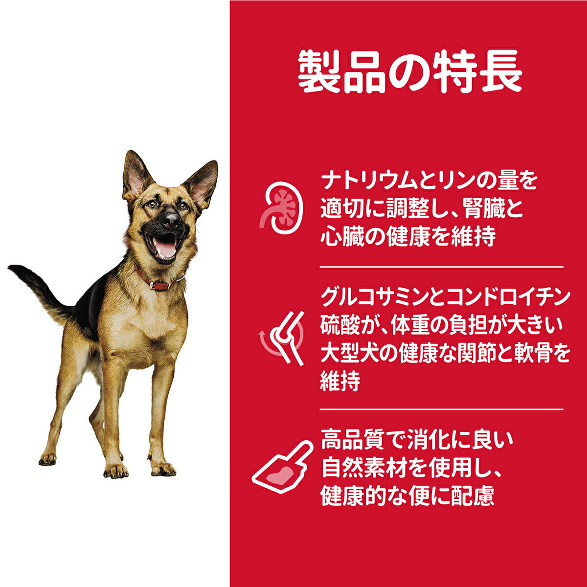 サイエンス・ダイエット シニア 大型犬用 高齢犬用 6歳以上 チキン 12kg ヒルズ ドッグフード ドライフード 総合栄養食 着色料・香料不使用