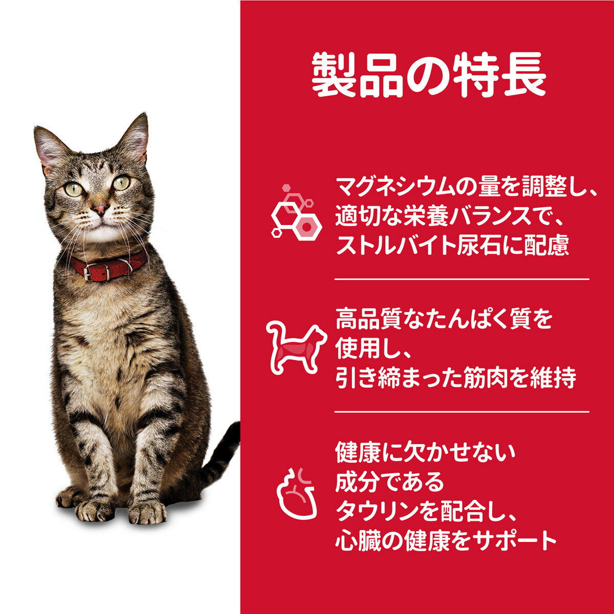 サイエンス・ダイエット アダルト チキン 成猫用 1～6歳 2.8kg ヒルズ キャットフード ドライフード 総合栄養食 着色料・香料不使用