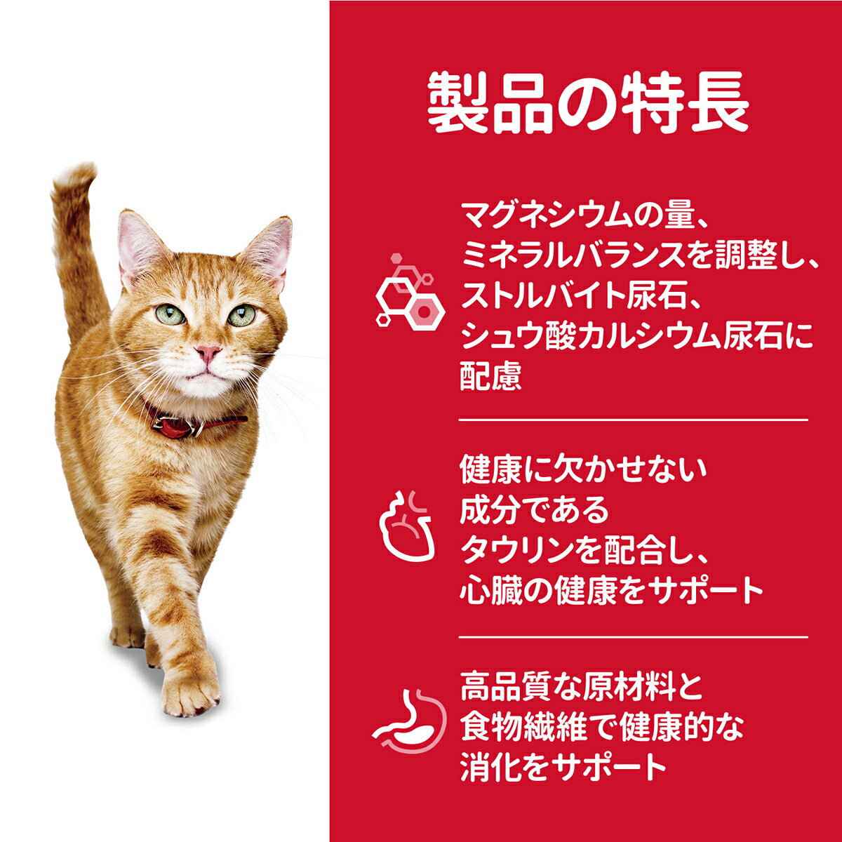 サイエンス・ダイエット シニア まぐろ 高齢猫用 7歳以上 800g ヒルズ キャットフード ドライフード 総合栄養食 着色料・香料不使用