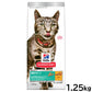 サイエンス ダイエット キャットフード 減量サポート 1歳以上の成猫 高齢猫用 チキン 1.25kg