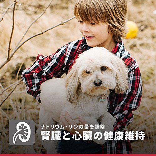サイエンス・ダイエット シニア 小型犬用 高齢犬用 7歳以上 チキン 1.5kg ヒルズ ドッグフード ドライフード 総合栄養食 着色料・香料不使用