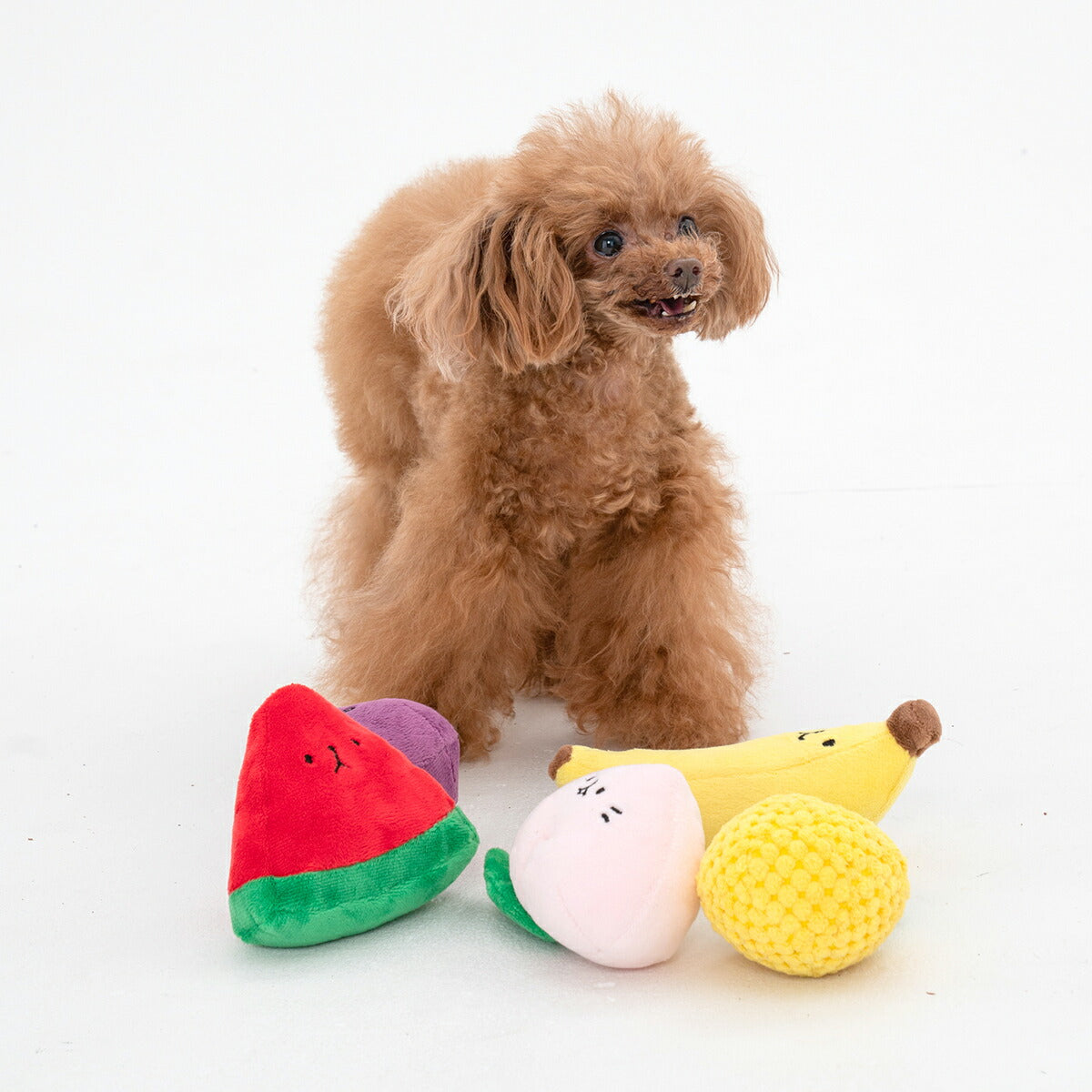 ソルグラ Solgra 犬のおもちゃ ブルーベリーボム パープル