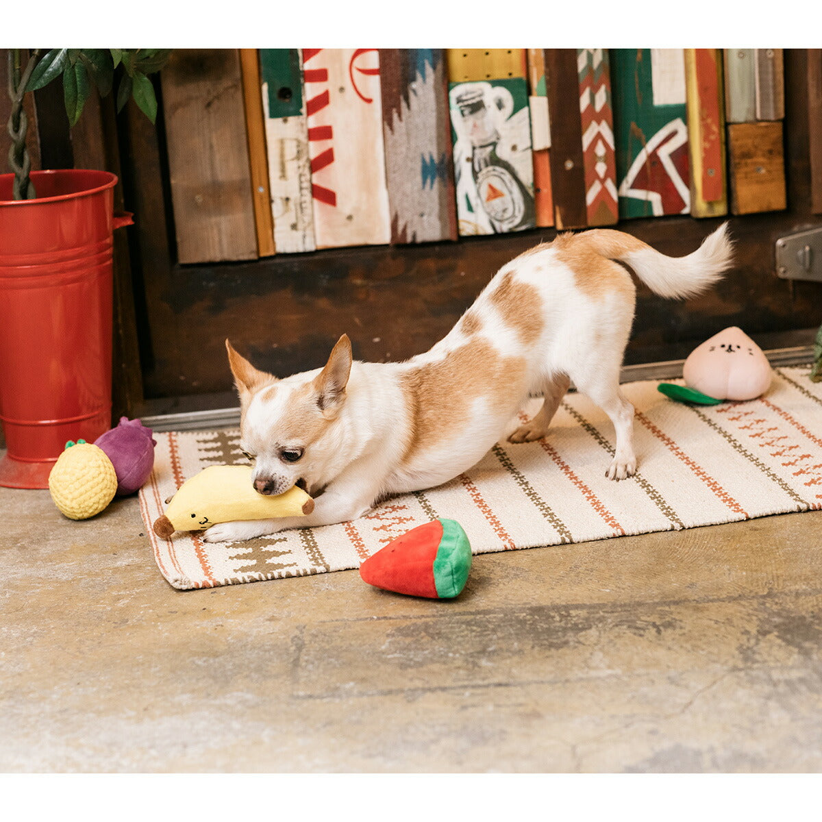 ソルグラ Solgra 犬のおもちゃ ブルーベリーボム パープル