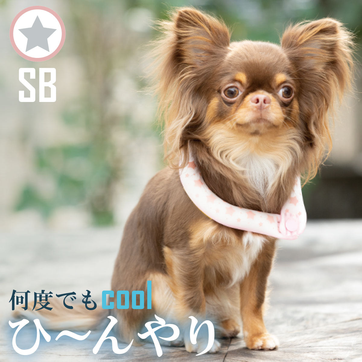 28°ICE 2023SUOリング ボタン付き SB ピンク（リフレクター） クールリング 犬 熱中症対策 猫 ペット 暑さ対策 スオ