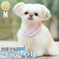 28°ICE 2023SUOリング ボタンなし グラデーション M サフランイエロー クールリング 犬 熱中症対策 猫 ペット 暑さ対策 人兼用 スオ