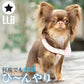 28°ICE 2023SUOリング ボタン付き LLB ブラック クールリング 犬 熱中症対策 猫 ペット 暑さ対策 人兼用 スオ