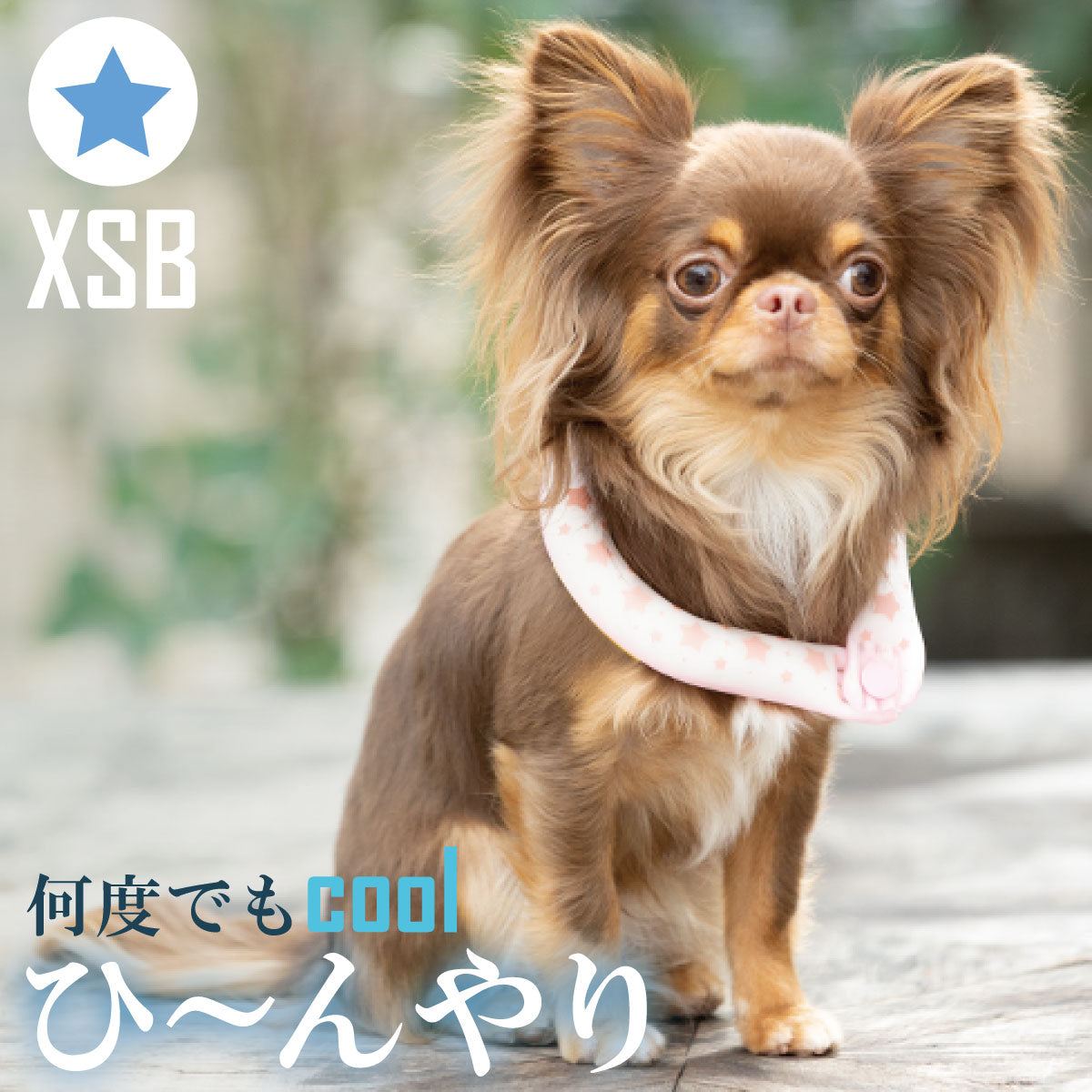 28°ICE 2023SUOリング ボタン付き XSB アクアブルー クールリング 犬 熱中症対策 猫 ペット 暑さ対策 スオ