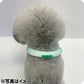 28°ICE 2023SUOリング ボタン付き LB チェリーピンク クールリング アイスリング 犬 熱中症対策 猫 ペット 暑さ対策 人兼用 スオ