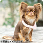 28°ICE 2023SUOリング ボタン付き LB チェリーピンク クールリング アイスリング 犬 熱中症対策 猫 ペット 暑さ対策 人兼用 スオ