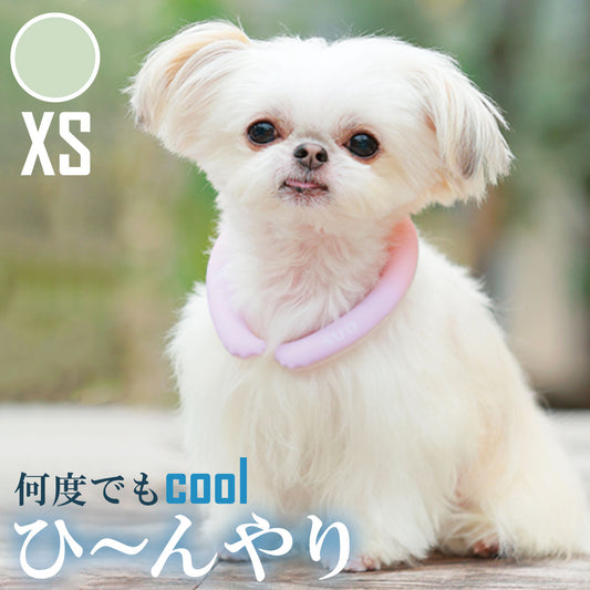 28°ICE 2023SUOリング ボタンなし チェック柄 XS マスカットグリーン クールリング 犬 熱中症対策 猫 ペット 暑さ対策 スオ